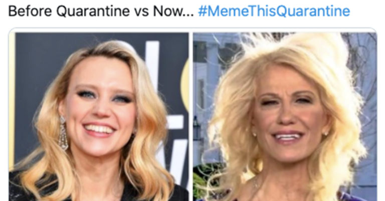 meme this quarantine, meme this quarantine challenge, meme this quarantine tweets, #memethisquarantine