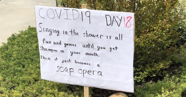 quarantine dad jokes lawn signs