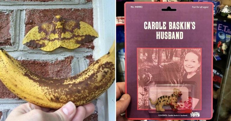 Morning Random Pic Dump (35 Pics)