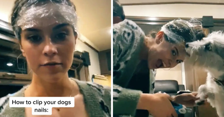 Woman’s Hack To Clip Her Dog’s Toenails Goes Viral On TikTok