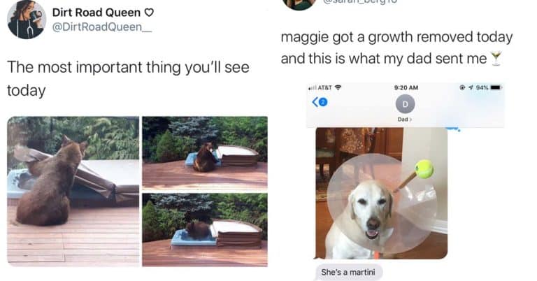 Pure Tweets For Tough Times (49 Tweets)