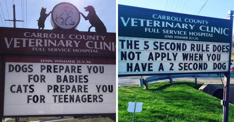 Vet Clinic Lures In Humans With Dad Jokes (30 Pics)