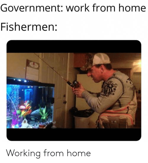 work from home memes, work from home memes