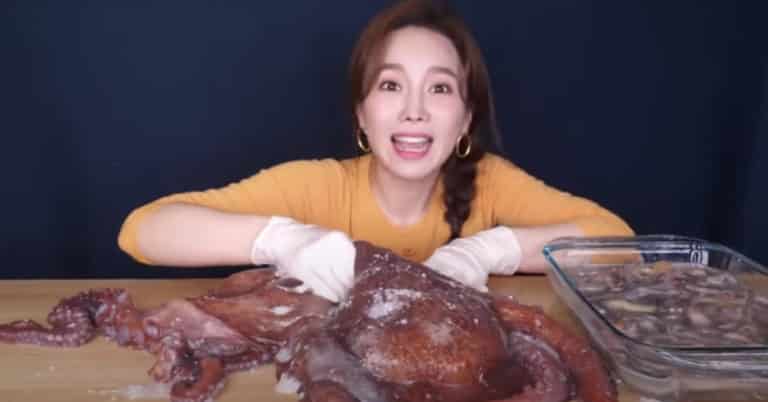 YouTube Star Slammed For Posting Videos Eating Live Sea Creatures