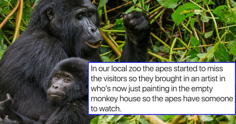 zookeepers askreddit