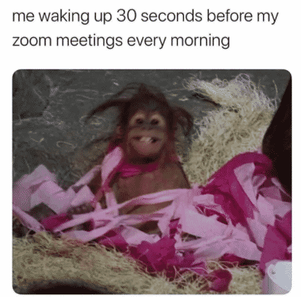 30 Funny Zoom Memes & Jokes To Laugh At While Your Mic Is ...