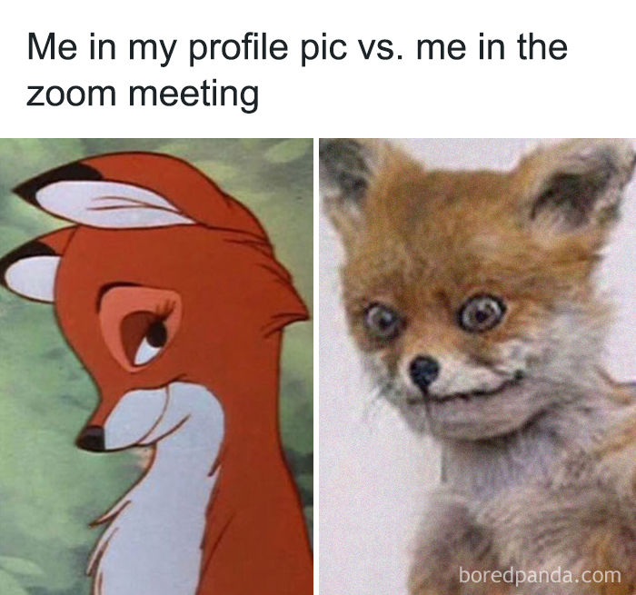 30 Funny Zoom Memes & Jokes To Laugh At While Your Mic Is Muted