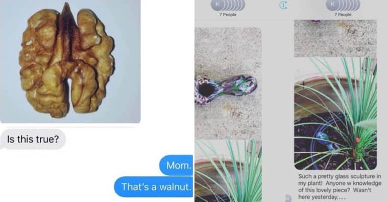 32 Wholesome Mom Texts That Are Equal Parts Hilarious And Adorable