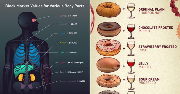 Cool Guides To All Sorts Of Cool Things (21 Pics)