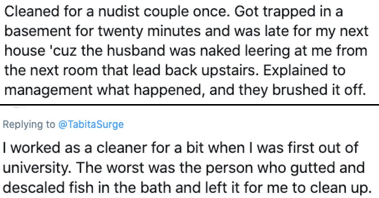 housecleaner horror stories, house cleaner horror stories, cleaning lady horror stories