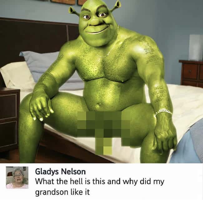 that's enough internet for today, the internet was a mistake, the internet was a mistake gif, shrek wood meme