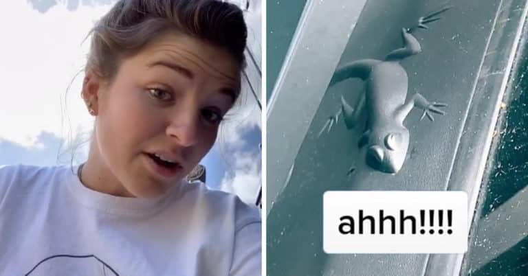 Turn Out Jeeps Have Hidden “Easter Eggs” On Them And People Are Sharing The Ones They’ve Discovered