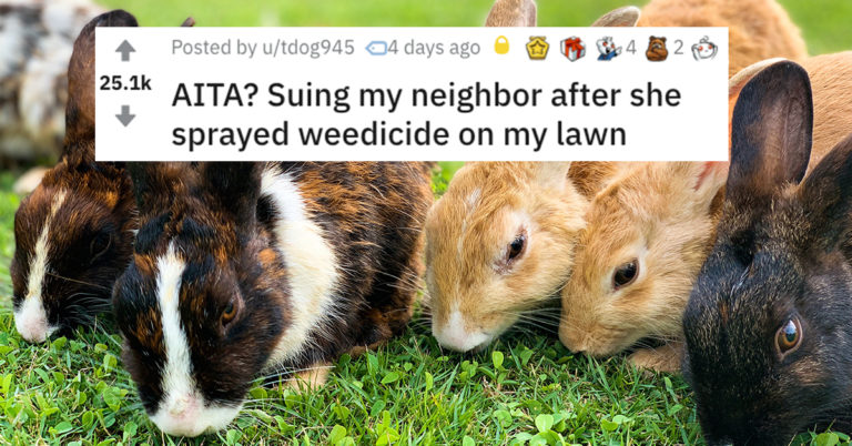 Karen Sprays Weed Killer On Neighbor’s Lawn Without Permission And Kills Their Rabbits