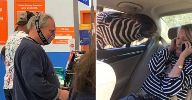 Morning Random Pic Dump (35 Pics)