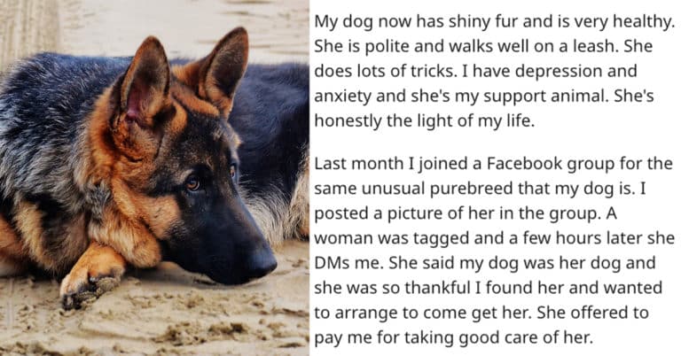 aita refuse to return dog