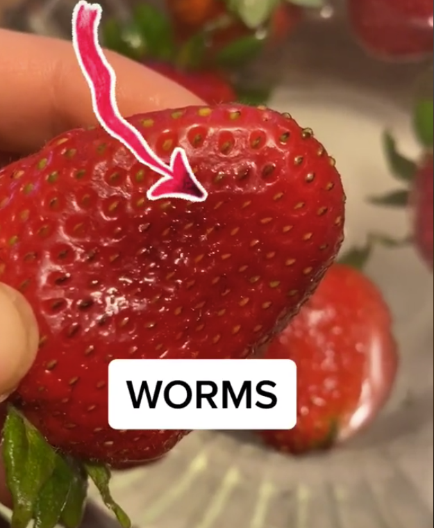 Strawberries Bugs Wtf 