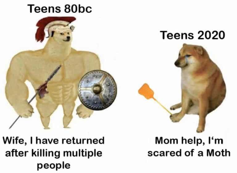 35 Of The Best Swole Doge And Cheems Memes We Had Time To Find