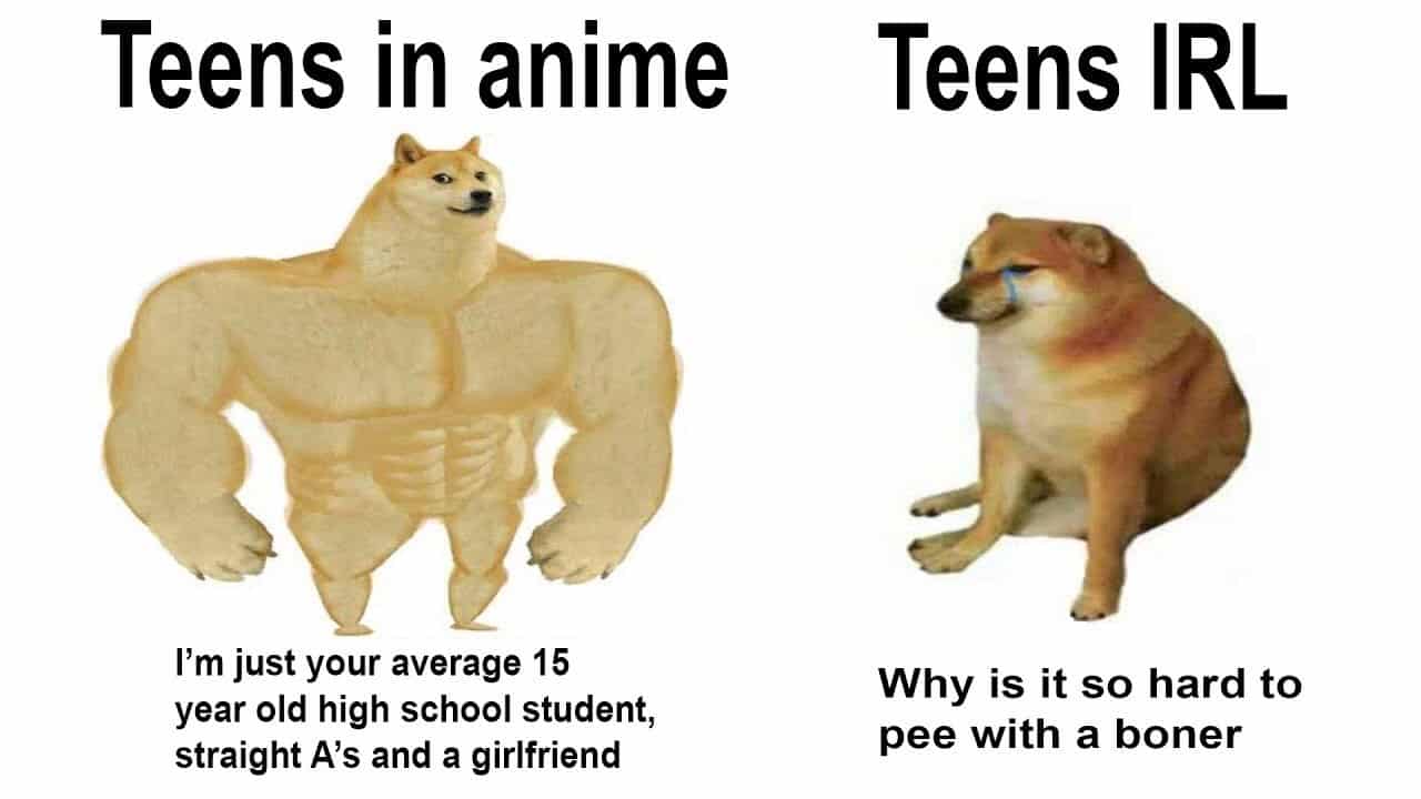 Doge Vs Cheems Meme