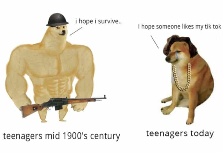 35 Of The Best Swole Doge And Cheems Memes We Had Time To Find