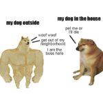 35 Of The Best Swole Doge And Cheems Memes We Had Time To Find