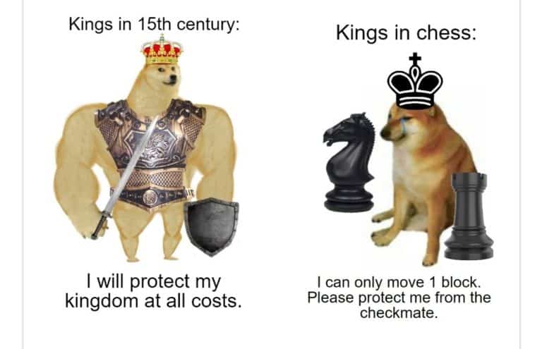 35 Of The Best Swole Doge And Cheems Memes We Had Time To Find