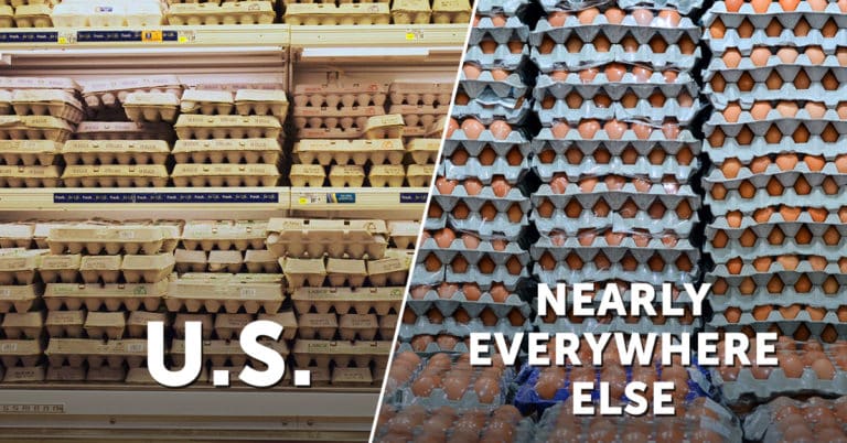 refrigerate eggs in America, refrigerate eggs, refrigerate eggs europe