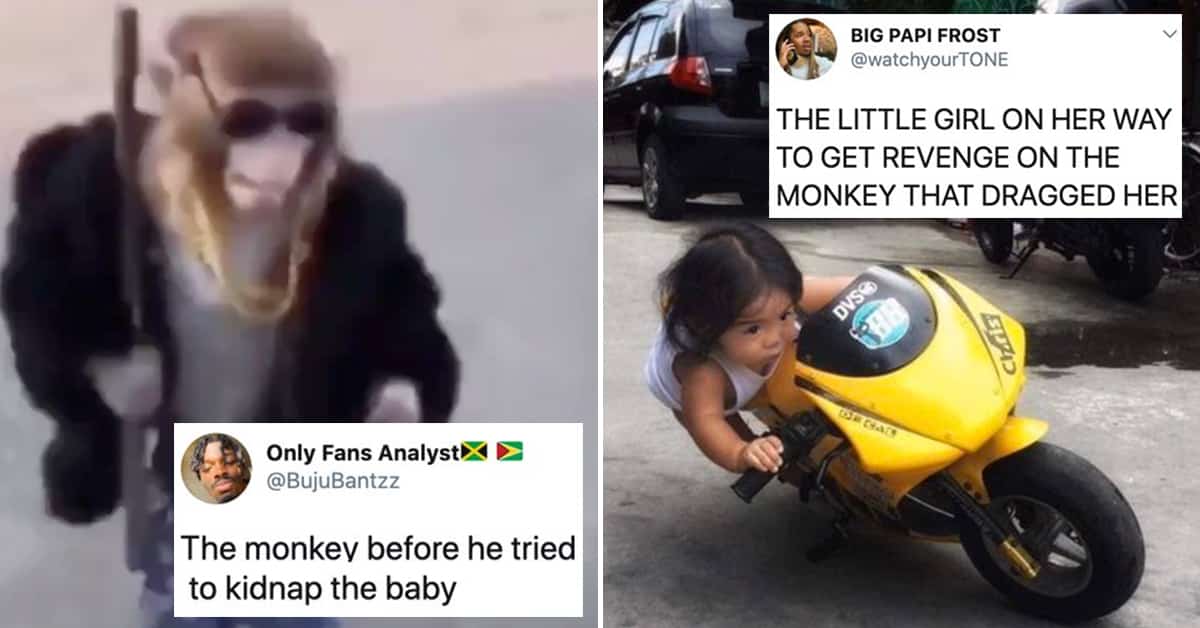 motorcycle monkey