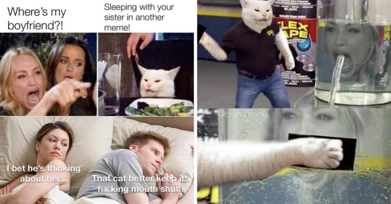 “Woman Yelling At Cat” Meme Is Still Going Strong In 2020 (43 Memes)