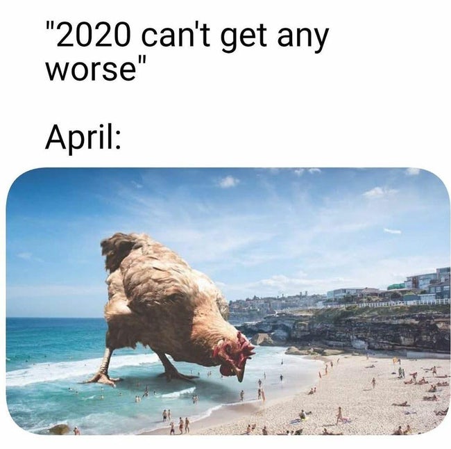 2020 can't get worse meme