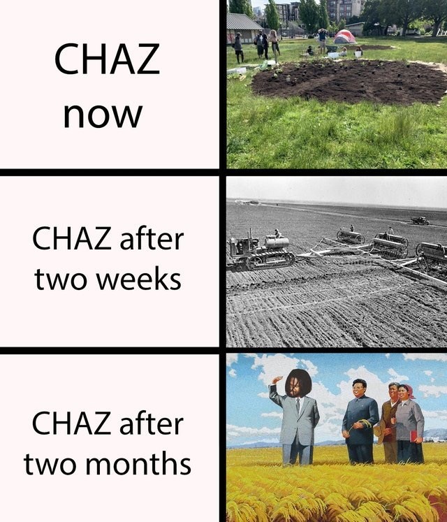 chaz meme, chaz memes, chop meme, chaz memes, seattle protest zone, capitol hill autonomous zone meme, capitol hill autonomous zone, capitol hill occupied protest, seattle chop meme, capitol hill occupied protest meme, seattle autonomous zone, seattle autonomous zone meme, seattle protest zone meme, seattle autonomous zone meme, seattle chaz meme, seattle chaz memes