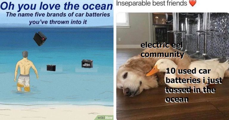 car battery meme, car battery memes, throwing car battery into ocean meme, throwing car battery into ocean memes, funny car battery memes, best car battery memes