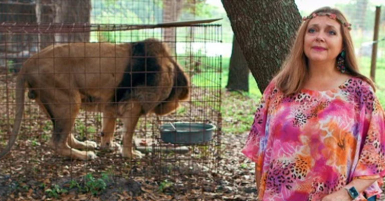 carole baskin, carole baskin joe exotic, carole baskin owns joe exotic's zoo