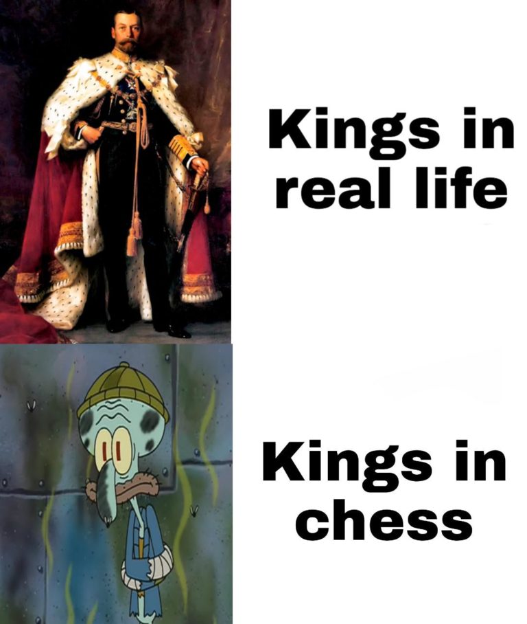 30 Chess Memes Even A Lowly Pawn Can Appreciate