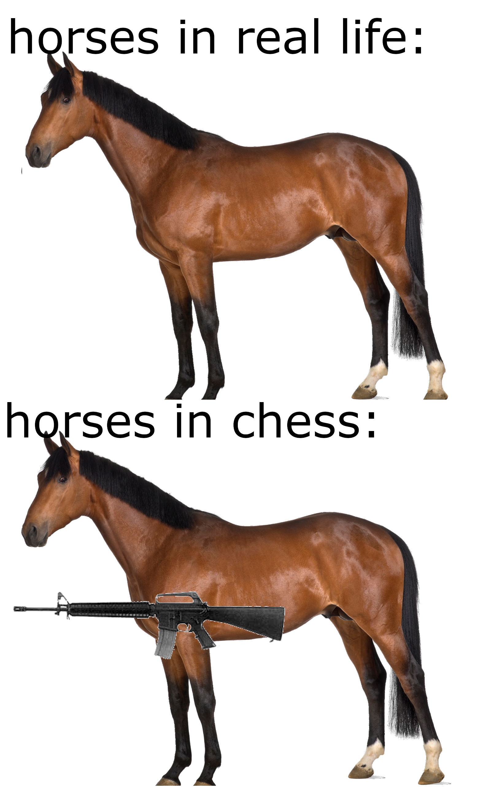 This chess meme where the horse can only go in one position and then in  another one : r/MemeTemplatesOfficial