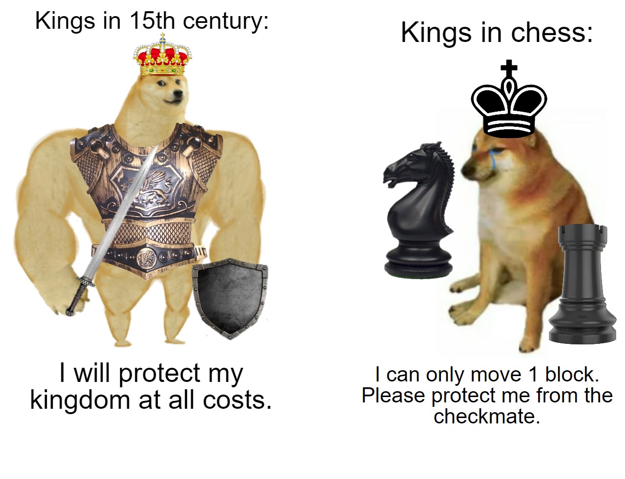 30 Chess Memes Even A Lowly Pawn Can Appreciate