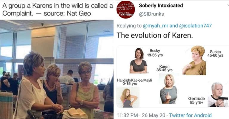 “A Group Of Karens Is Called A Complaint” —A Group Of Karen Memes (29 Memes)