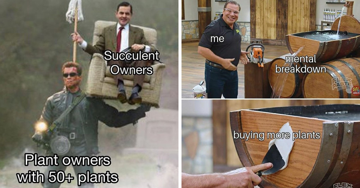 59 Plant Memes You Can't Accidentally Kill By Casually Neglecting Them