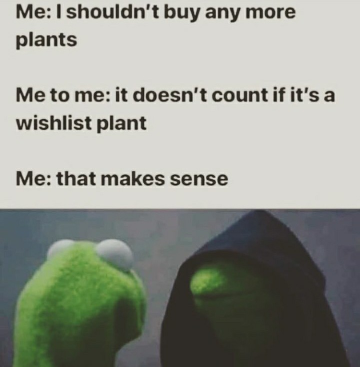 59 Plant Memes You Can’t Accidentally Kill By Casually Neglecting Them