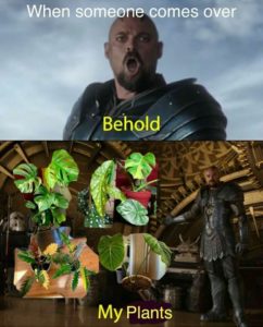 59 Plant Memes You Can’t Accidentally Kill By Casually Neglecting Them