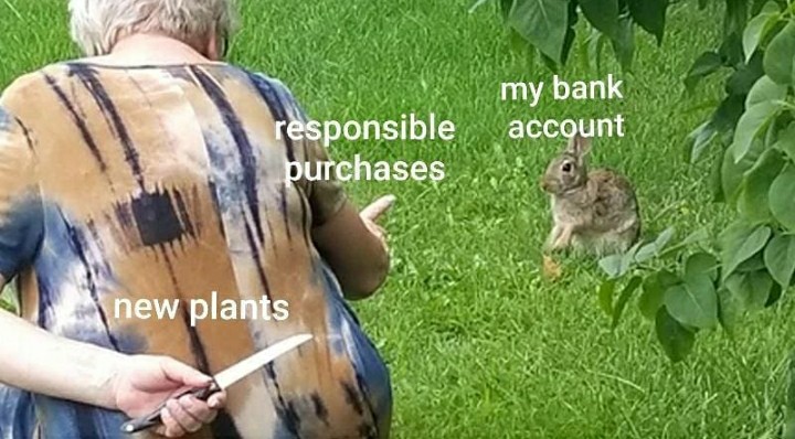 buying plants meme