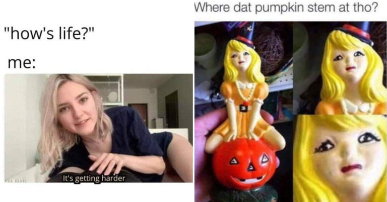 Sure These Memes Are Unwholesome, But They’re Also Not Wholesome (23 Pics)