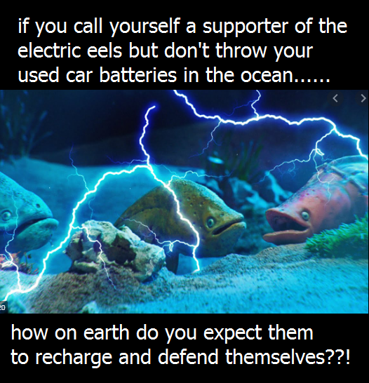 Car battery in ocean information