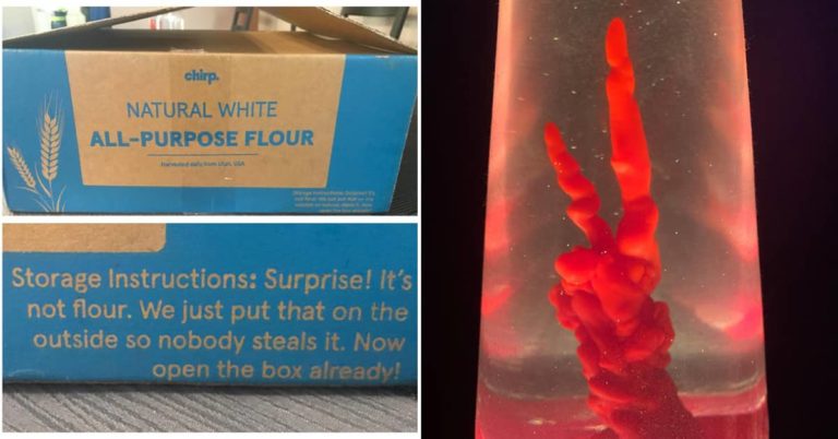 Well, That’s Mildly Interesting (21 Pics)