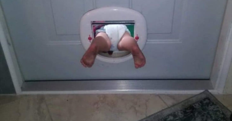 Morning Random Pic Dump (35 Pics)