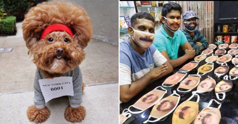 Morning Random Pic Dump (35 Pics)