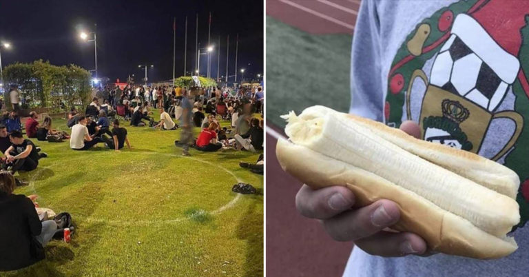 Morning Random Pic Dump (35 Pics)