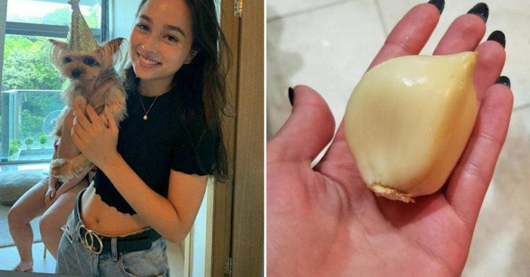 Afternoon Random Pic Dump (45 Pics)