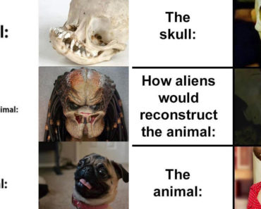 alien skull meme, alien skull memes, what aliens think skulls animals look like, what aliens think skull meme, funny alien skull meme, funny alien skull memes, what aliens think a skull’s animal looks like, what aliens think animals look like, what aliens think animals look like meme, what aliens think animals look like based on their skulls, what aliens think animals look like based on their skull, alien skull reconstruction, alien animal skull reconstruction, alien skull reconstruction meme, alien skull reconstruction memes, alien skull animal reconstructions, alien skeleton meme, alien skeleton memes