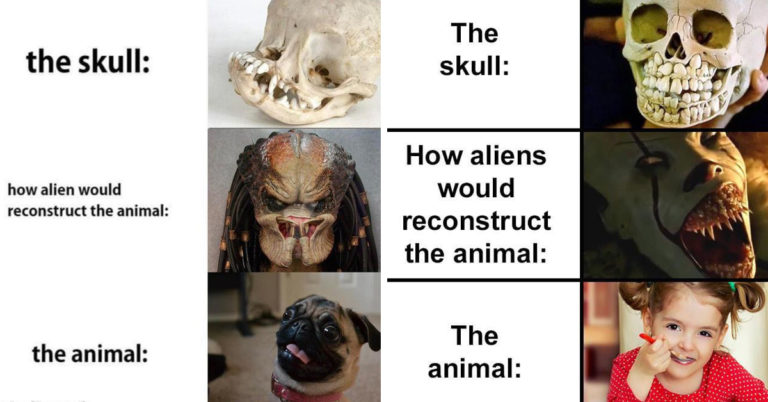 alien skull meme, alien skull memes, what aliens think skulls animals look like, what aliens think skull meme, funny alien skull meme, funny alien skull memes, what aliens think a skull’s animal looks like, what aliens think animals look like, what aliens think animals look like meme, what aliens think animals look like based on their skulls, what aliens think animals look like based on their skull, alien skull reconstruction, alien animal skull reconstruction, alien skull reconstruction meme, alien skull reconstruction memes, alien skull animal reconstructions, alien skeleton meme, alien skeleton memes