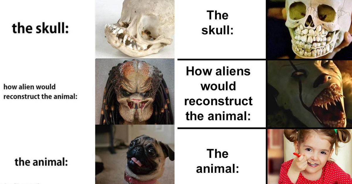 The Alien Skull Meme Is Part Creepy And Part Wholesome (30 Memes)